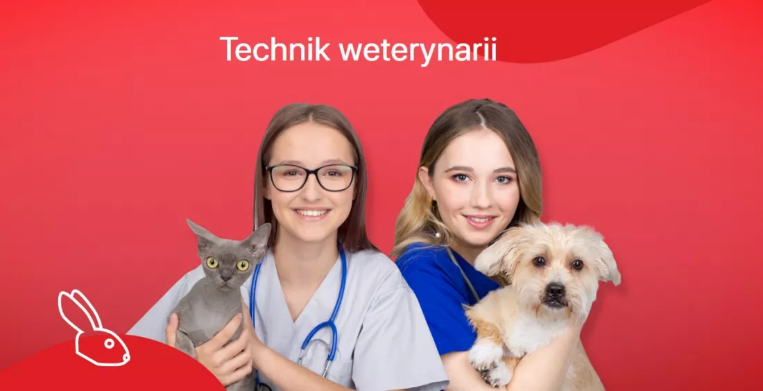 Technik weterynarii w TEB Edukacja