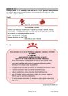 miniatura arkusz - język hiszpański - egzamin ósmoklasisty 2023 - 0014